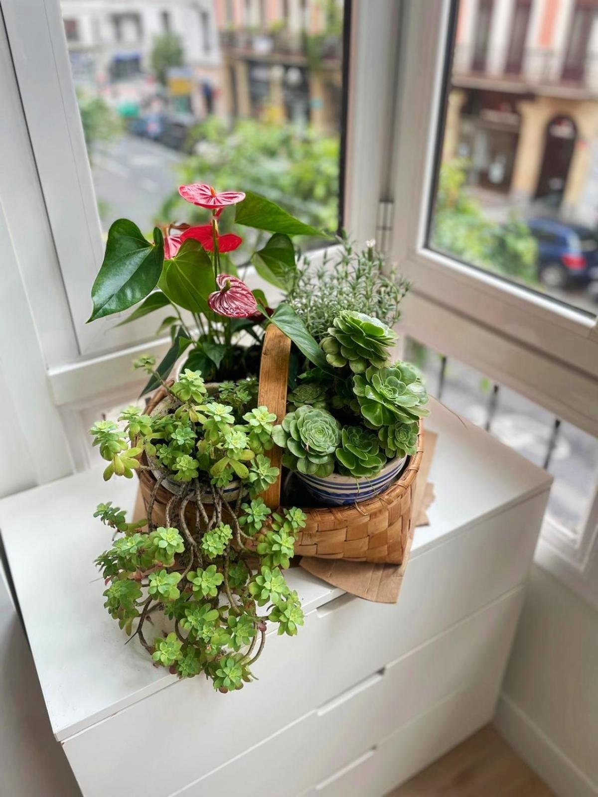Loaina Appartement Bilbao Buitenkant foto